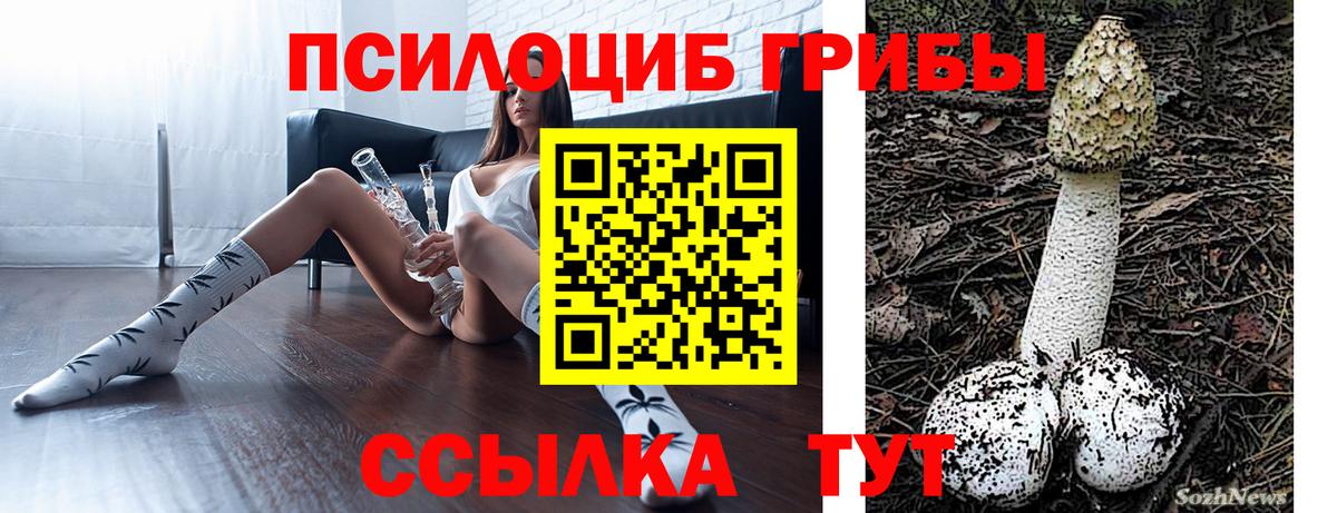 Сердобск  Псилоцибиновые грибы прущие грибы  Вход с VPN  Псилоцибиновые грибы прущие грибы 
